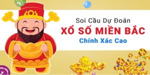 sự lựa chọn hàng đầu